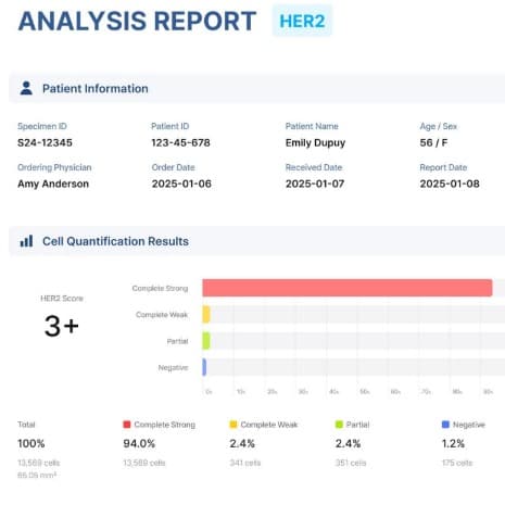 AI Powered Computational Pathology for Precision Cancer Therapy- Seeking Experts in Southeast Asia image